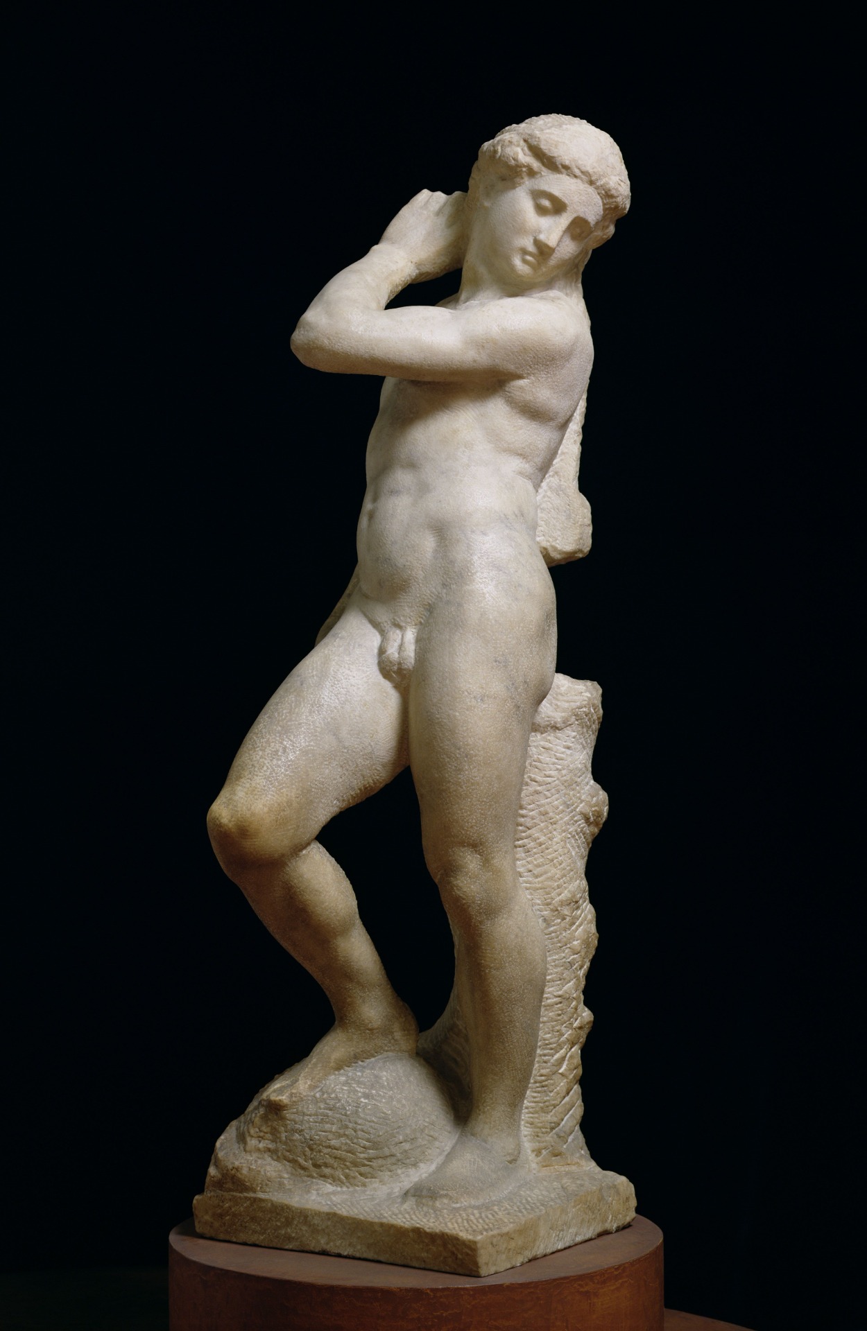 Apollo-David, ca. 1530.   Michelangelo Buonarroti (1475-1564)
