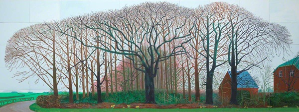 Naakte bomen in een park, met groene struiken en een rood bakstenen gebouw op de achtergrond.