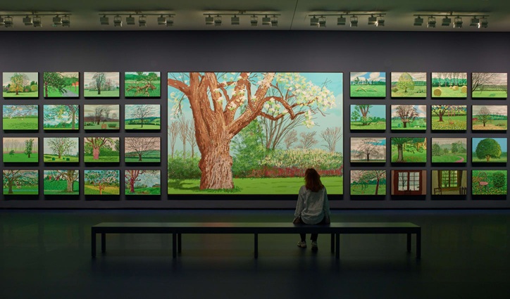 Bezoeker staat in museumzaal voor grote wand met kleurrijke boomfoto’s en projectie van een boom.