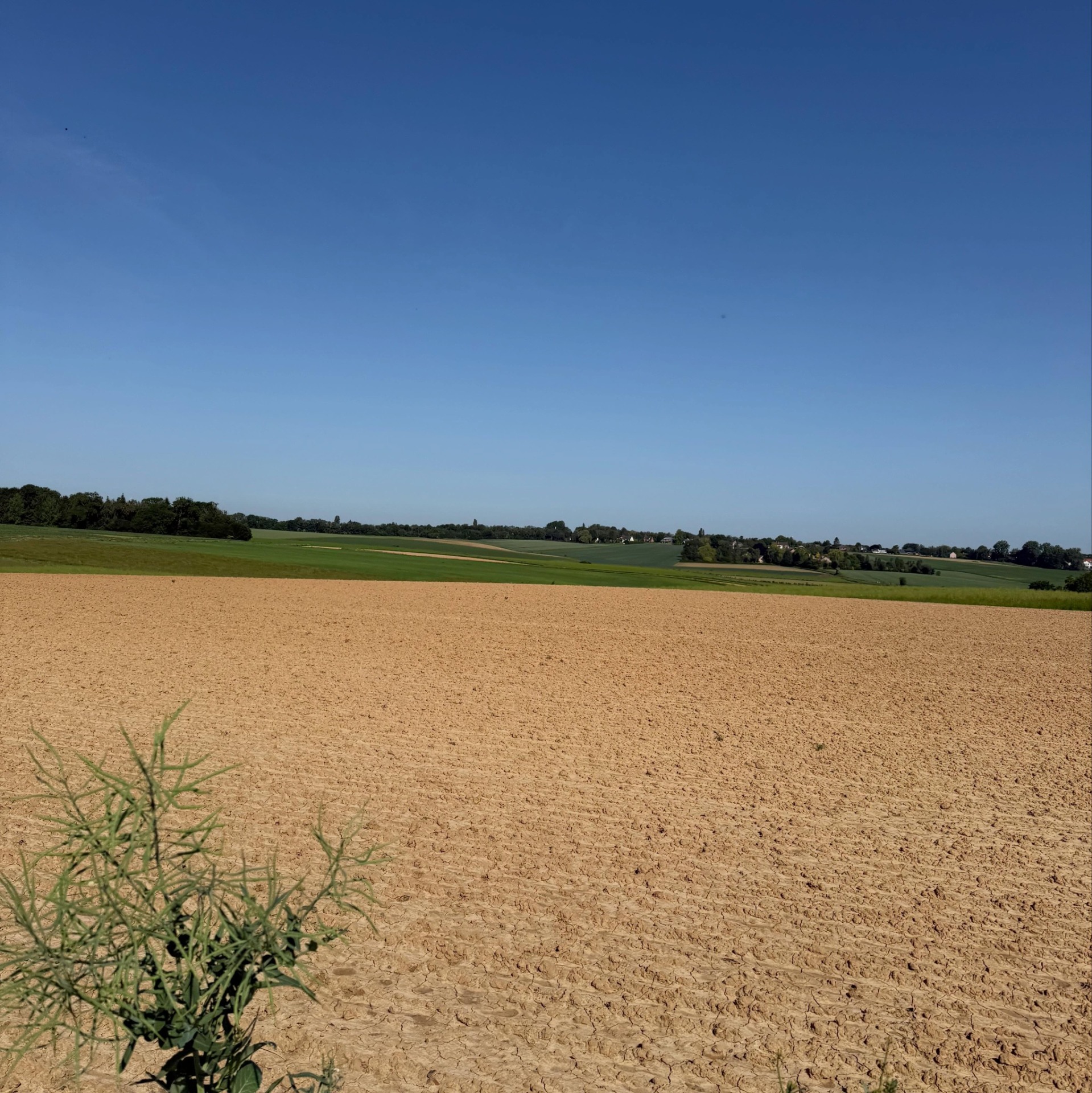 Uitgedroogd akkerland met groene velden en bomenrij, dorp in verte onder een helderblauwe lucht.