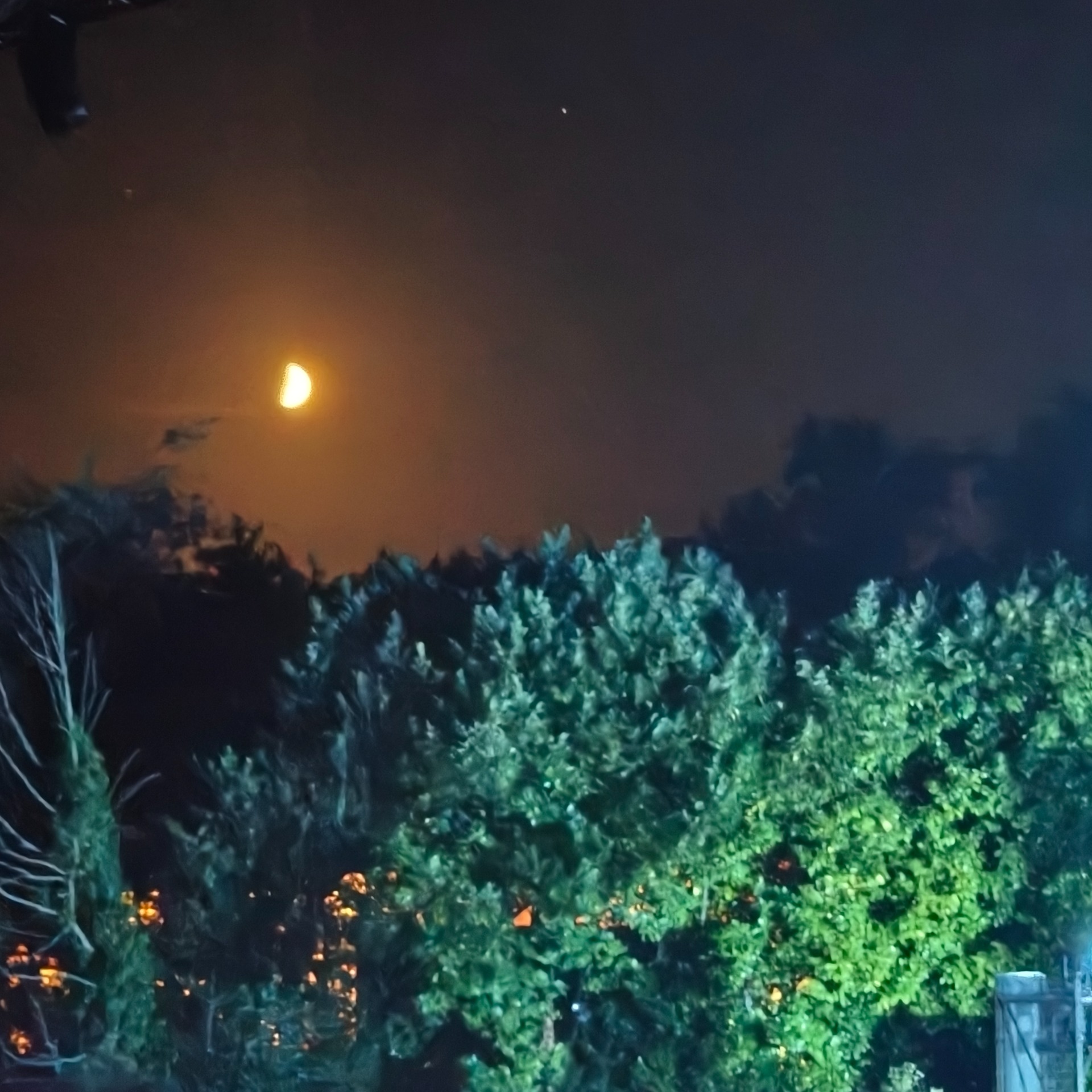 Nachtelijke lucht met oranje gloed en een fel lampje boven een donkere boomrijke omgeving.