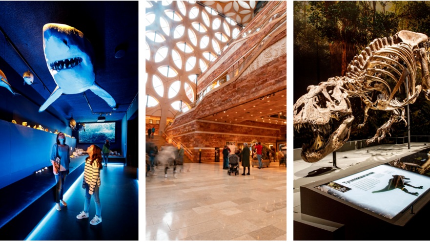 Collage met drie museumbeelden: blauwe animatronic, hal met houten trap en skeletten in vitrines.